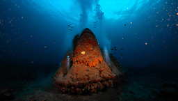 Подводный вулкан Axial Seamount: апокалипсис или природное шоу?